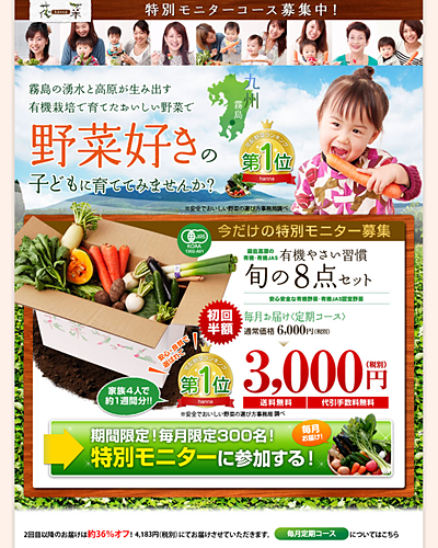 
花菜の有機野菜習慣旬の野菜8点セット